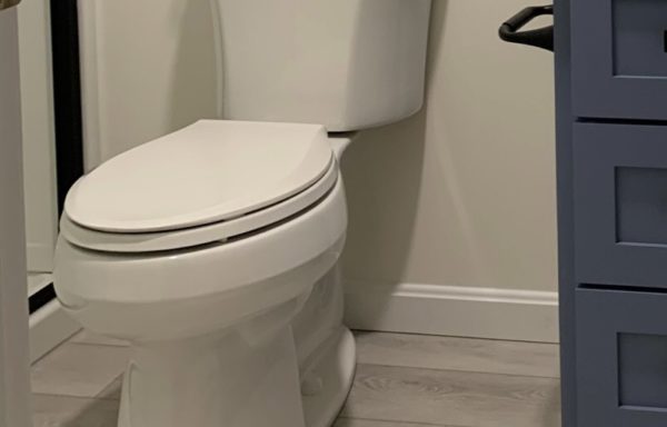 IV. Bathroom Toilets
